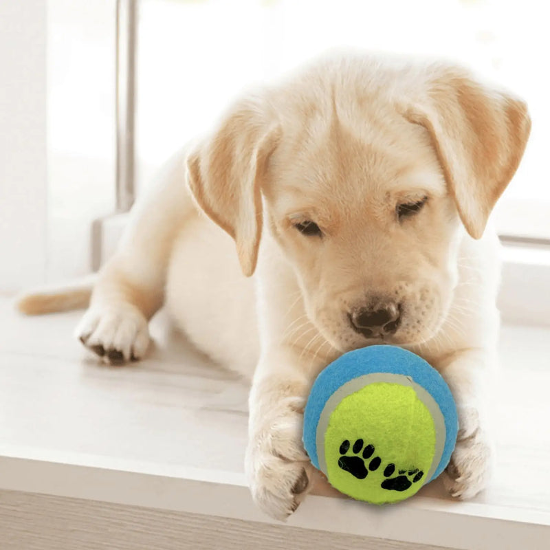 Bolinhas interativas de Tenis para animais de estimação Brinquedo Mordedor Para Pets Conjunto com 3 Unidades